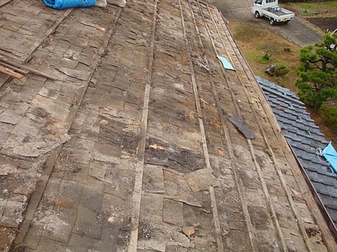 野地板の状況
