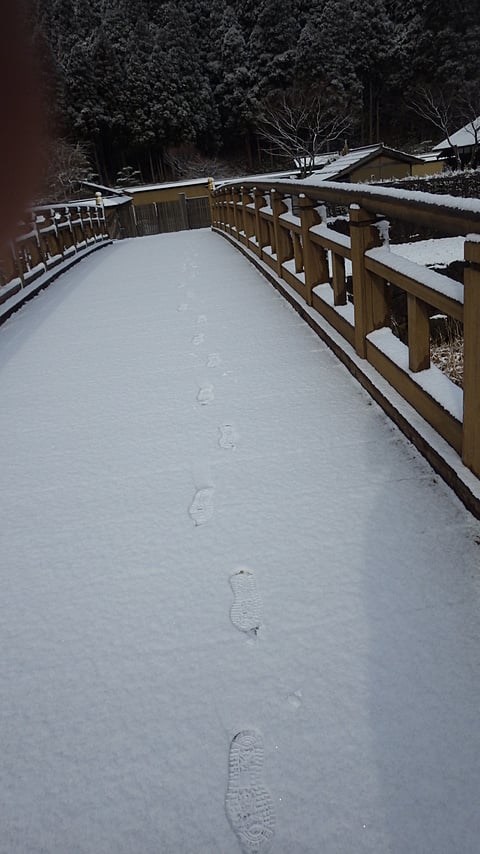 誰も歩いていない雪道を歩きました