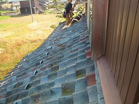 野地板状況